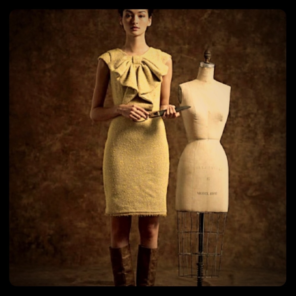 Stunning Anthropology Eva Franco Dress!